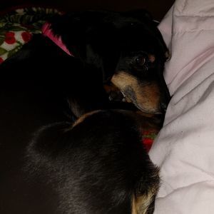 Meet your Posher, Kerstian